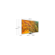 Tv qled qe65q80datxxh Tv qled qe65q80datxxh