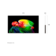 Tv oled77b62la